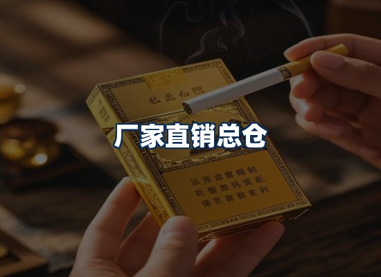 专业团队办公环境